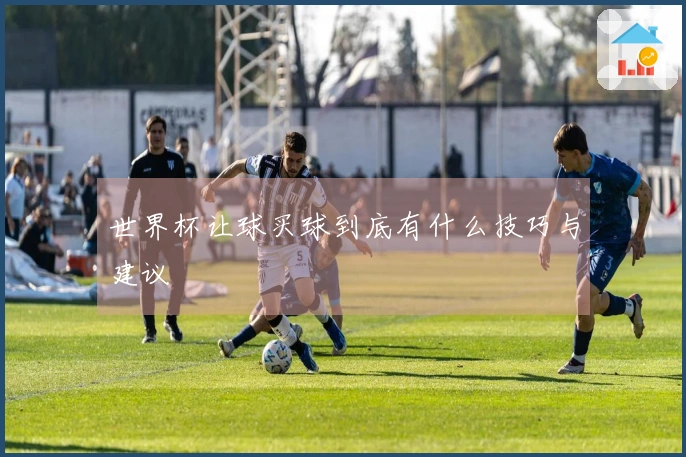 世界杯让球买球到底有什么技巧与建议