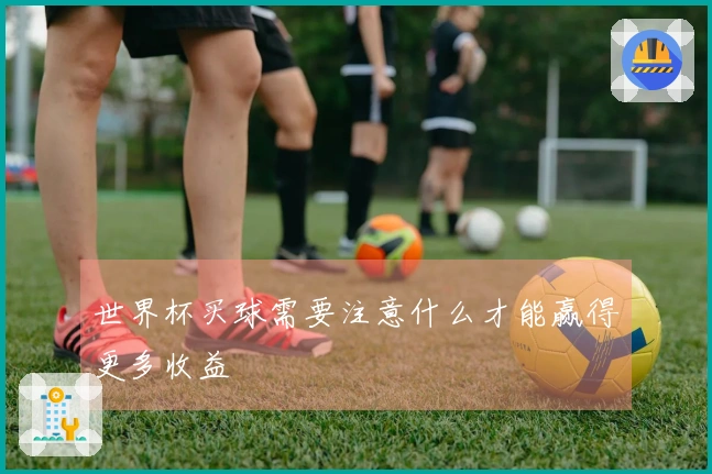世界杯买球需要注意什么才能赢得更多收益