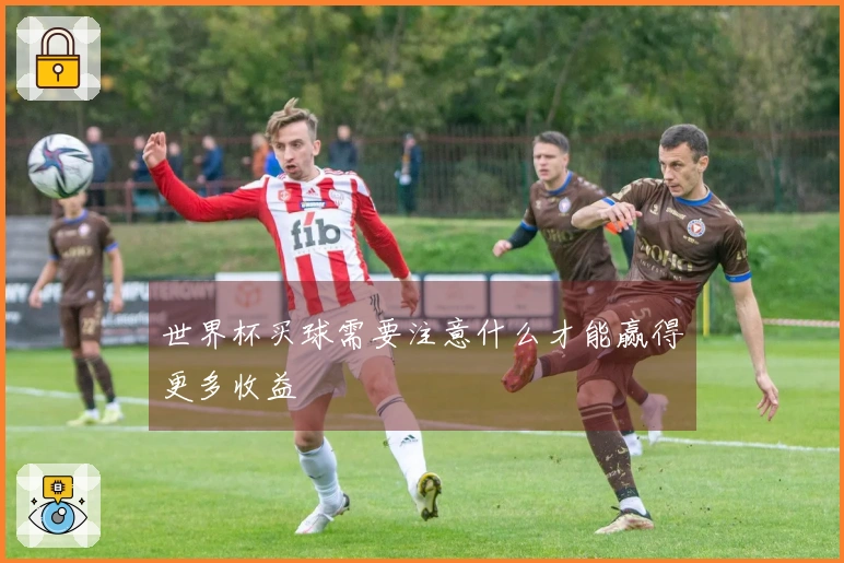 世界杯买球需要注意什么才能赢得更多收益