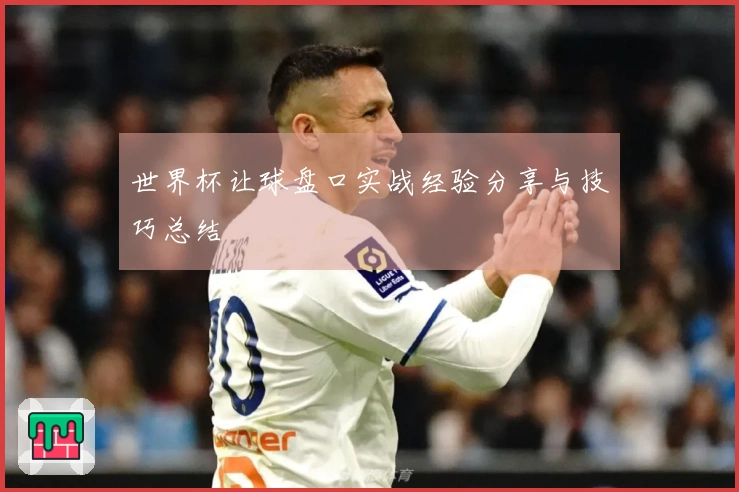 世界杯让球盘口实战经验分享与技巧总结