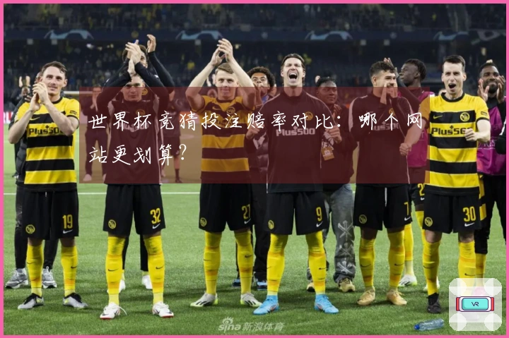 世界杯竞猜投注赔率对比：哪个网站更划算？