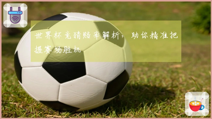 世界杯竞猜赔率解析，助你精准把握赛场胜机